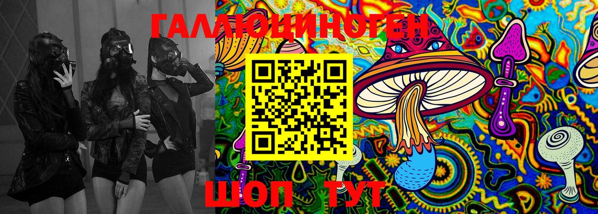 Галлюциногенные грибы Cubensis Сухой Лог