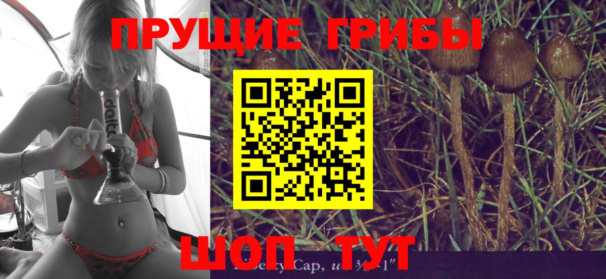 купить  сайты  Вход с VPN  Сухой Лог  Псилоцибиновые грибы прущие грибы 